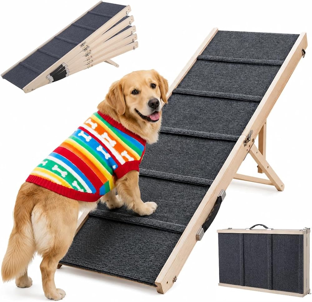 51 Compact Foldable Bed Couch Ramp