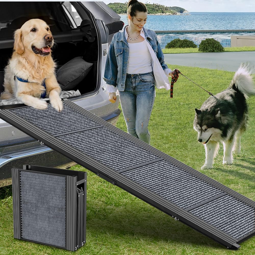Compact 63″ x 17″ Folding Ramp