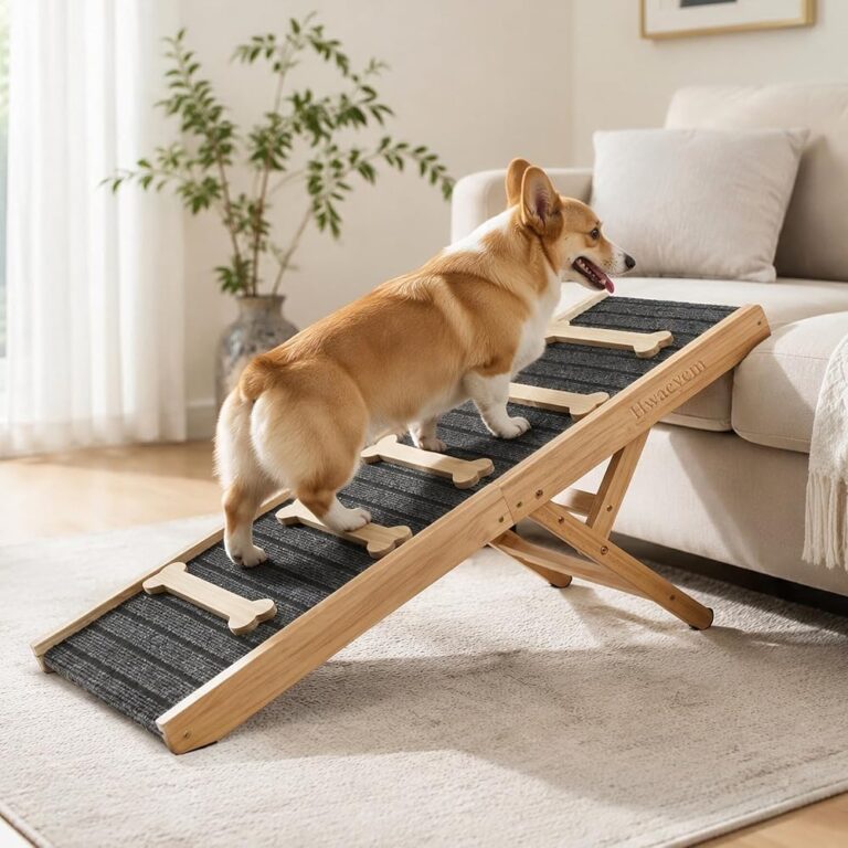 Best Dog Ramps for Dachshunds & Small Dogs