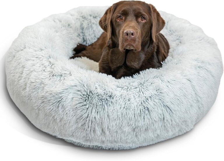 Best Calming Dog Beds for Anxiety (and Do They Actually Work?)