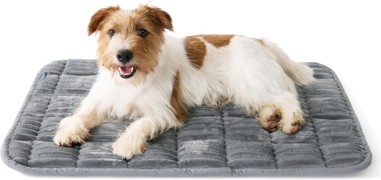 Best Dog Crate Beds & Mats: Washable, Chew-Proof & Sized to Fit
