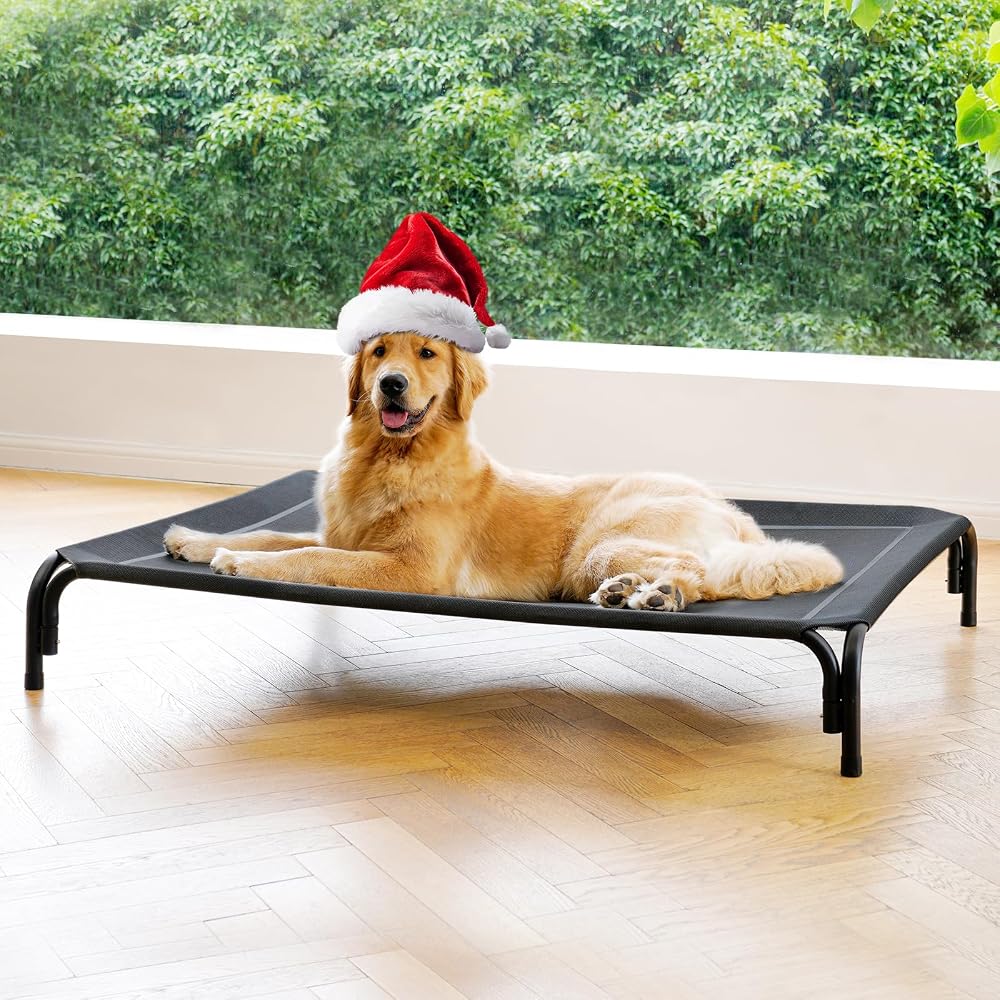 Raised Outdoor Dog Cot for Large Dogs