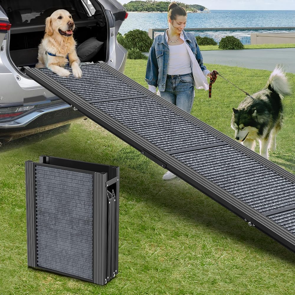 71  x 20  Extra Long   Wide Ramp