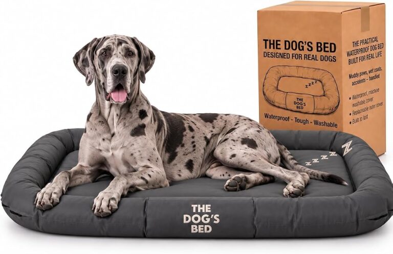 Best Washable & Waterproof Dog Beds (That Actually Protect the Foam)
